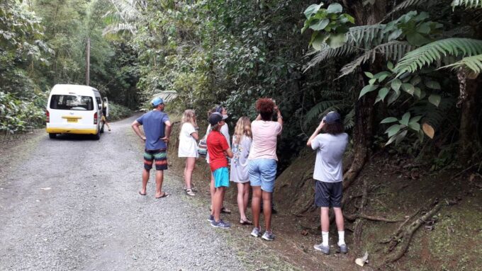 Hiking Adventure Through Grand Etang RainForest - Inclusions and Requirements
