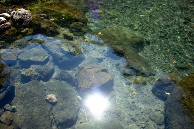 Hiking Adventure to a Secret Swimming Spot - Customer Reviews