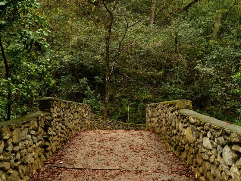 Hiking and a visit to a waterfall in the city: La Estanzuela - The Experience: A Closer Look