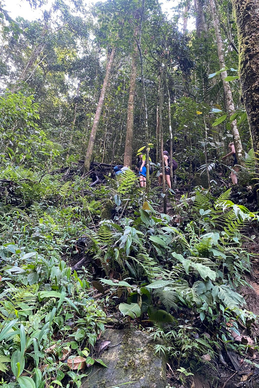 Hiking and Climbing El Tabor Rock - Near Medellín - Key Points
