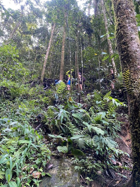 Hiking and Climbing El Tabor Rock - Near Medellín - Itinerary Details