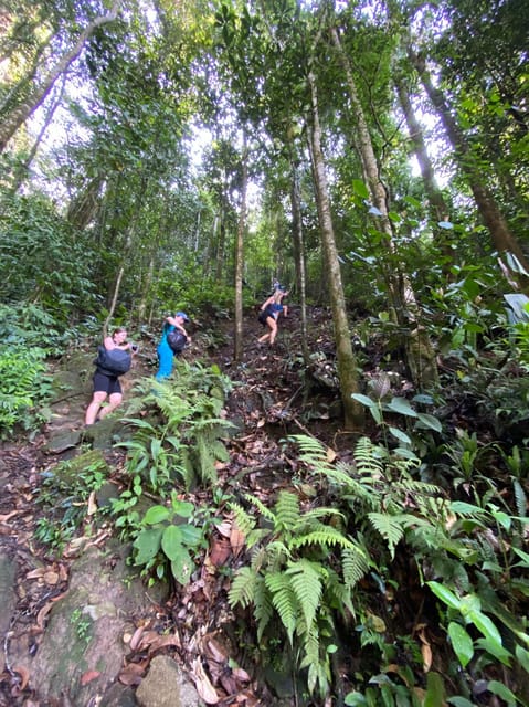 Hiking and Climbing El Tabor Rock - Near Medellín - Restrictions