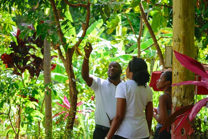 Hiking and Nature Rehabilitation Tour - Booking Information