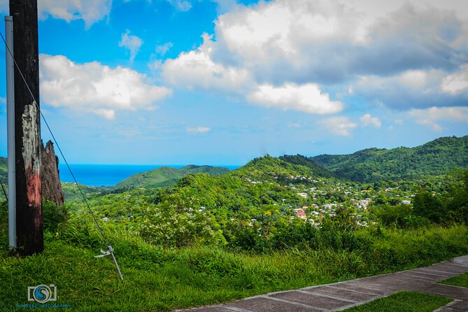 Hiking and Nature Rehabilitation Tour - Reviews