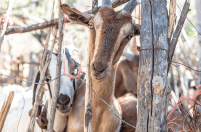 Hiking and Rural Turism - Booking and Cancellation Information