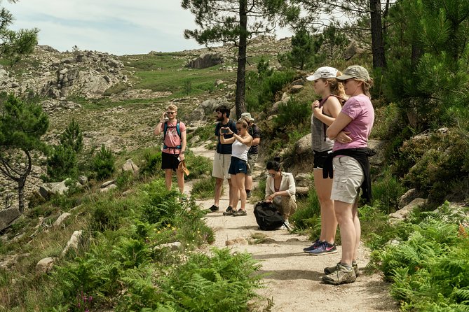 Hiking and Swimming in Gérês National Park - Confirmation and Accessibility Information