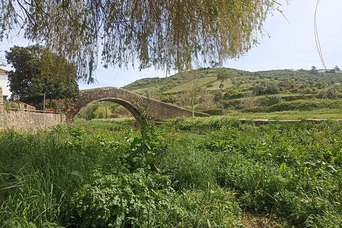 Hiking and Wine Tasting Experience - Pricing and Discounts
