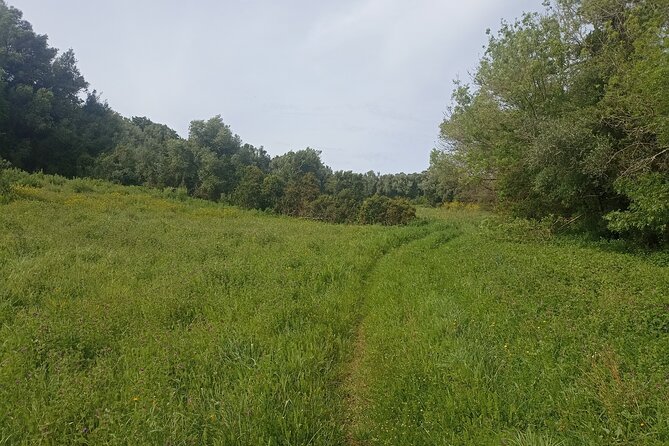 Hiking and Wine Tasting Experience - Unique Experience Highlights