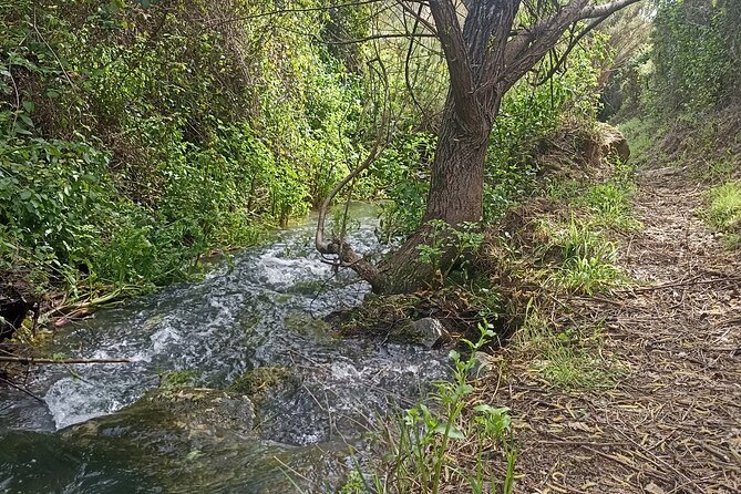 Hiking and Wine Tasting Experience - Wine Tasting at Manzwine