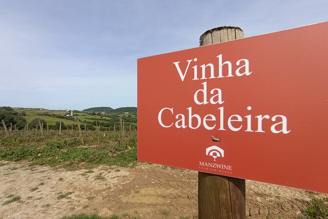 Hiking and Wine Tasting Experience - Excursion Itinerary