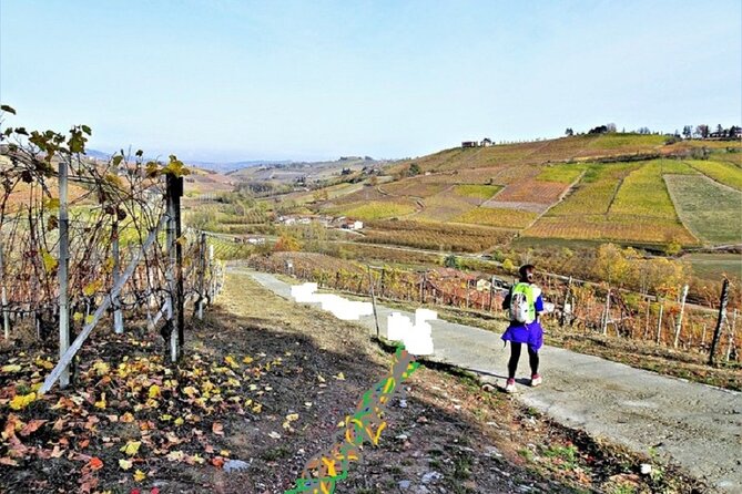 Hiking and Wine Tour Starting From Alba - Exploring Albas Main Square