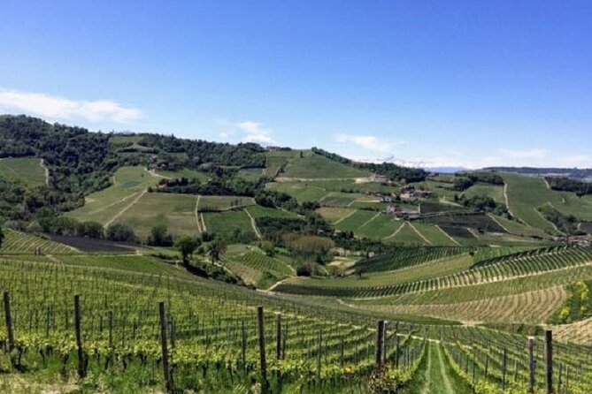 Hiking and Wine Tour Starting From Alba - Pairing Wines With Specialties