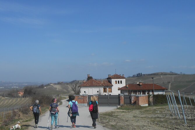 Hiking and Wine Tour Starting From Alba - Returning to Albas Square
