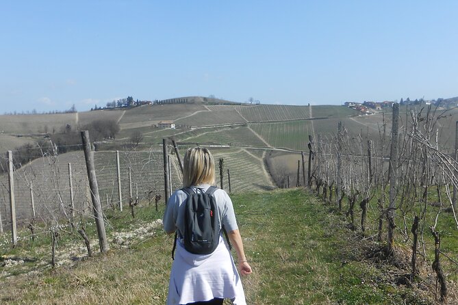 Hiking and Wine Tour Starting From Alba - Inclusions and Accommodations