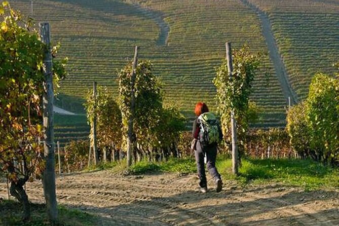 Hiking and Wine Tour Starting From Alba - Meeting and Pickup Details