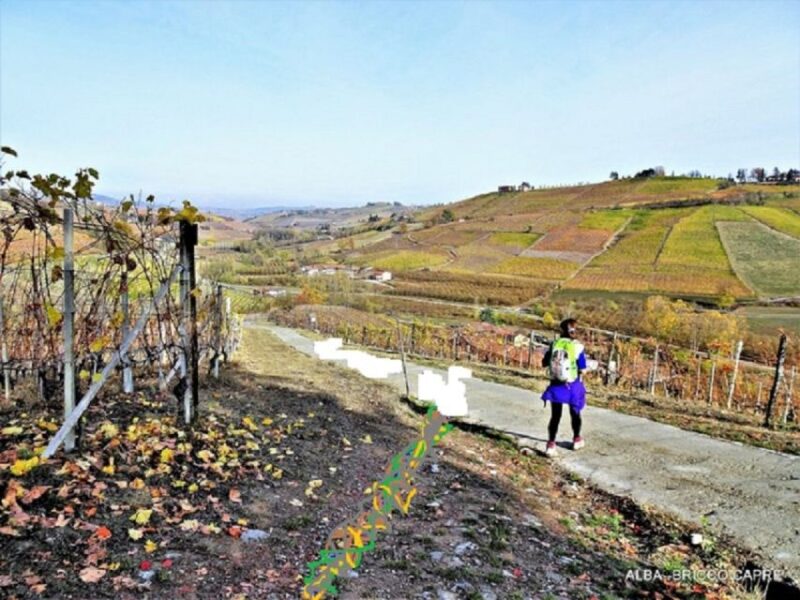 Hiking and Wine Tour Starting From Alba - Key Points