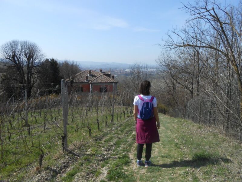 Hiking and Wine Tour Starting From Alba - Itinerary and Experience