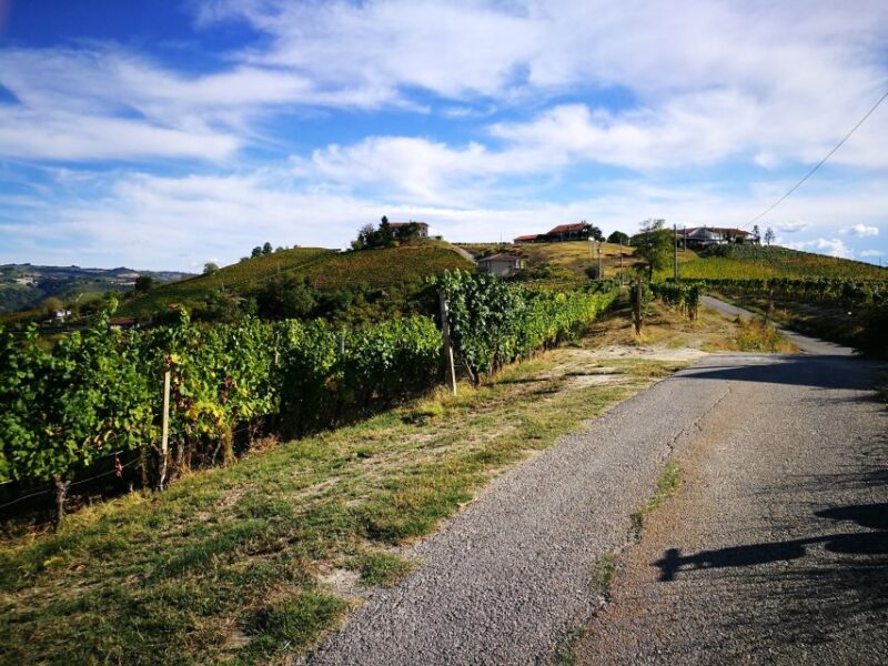 Hiking and Wine Tour Starting From Alba - Customer Feedback