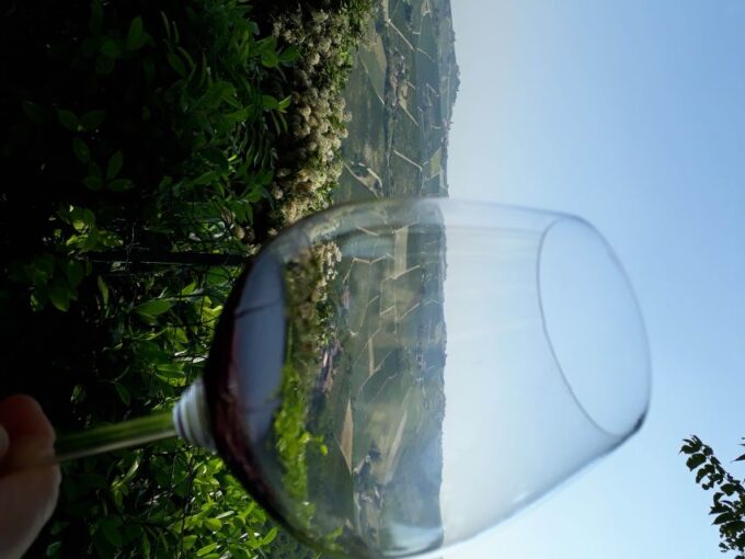 Hiking and Wine Tour Starting From Alba - Booking and Cancellation Policy