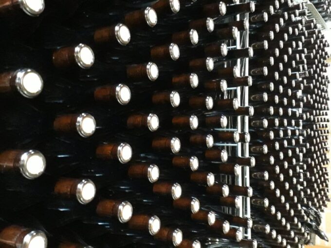 Hiking and Wine Tour Starting From Alba - Recap