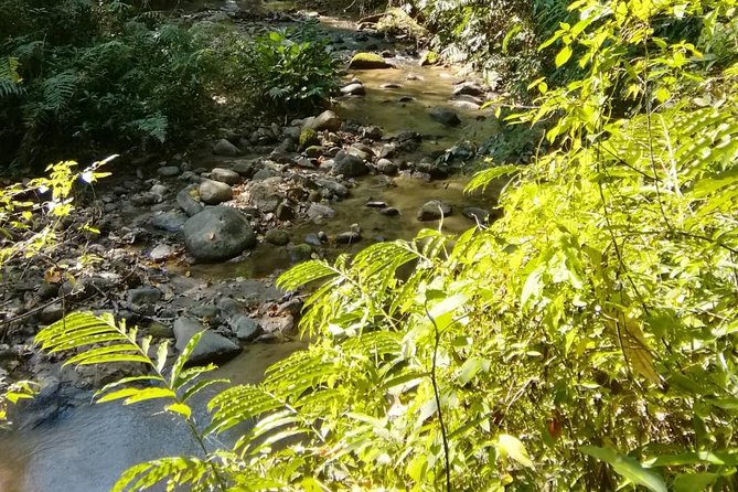 Hiking and Zipline Private Tour From Chiang With Karen Village - Guidance and Safety