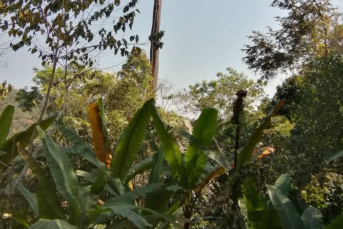 Hiking and Zipline Private Tour From Chiang With Karen Village - Reviews and Ratings