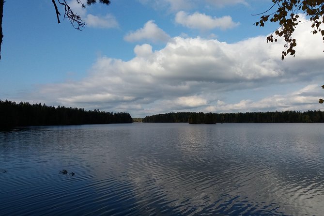 Hiking Around Forest and Lake - Quick Points