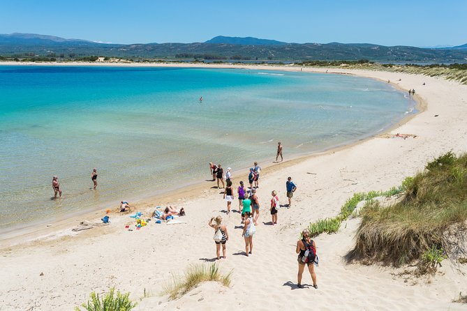 Hiking Around Navarino Bay - The Tour Details