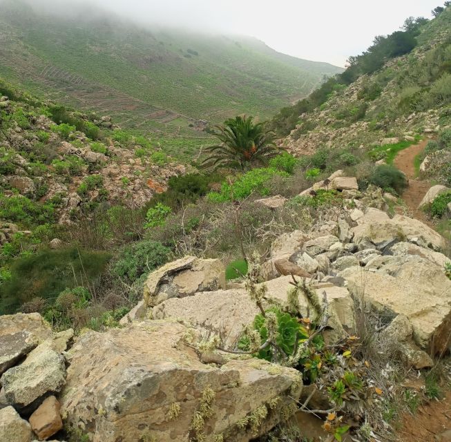 Hiking Around the Valley of 1000 Palms - Key Points