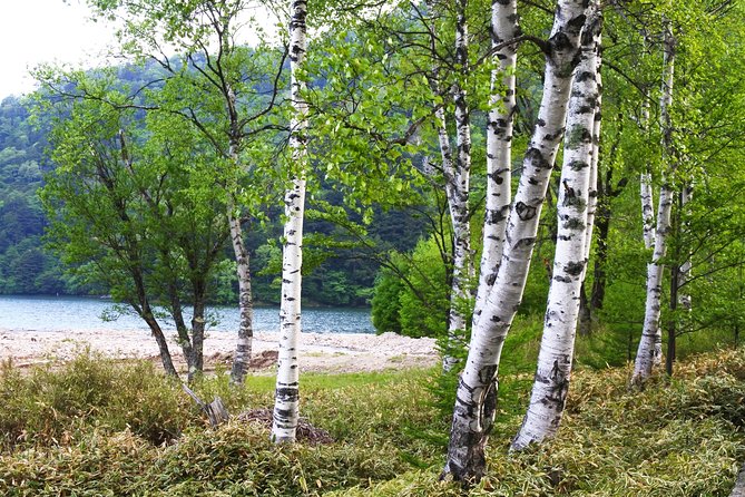Hiking Around Yuno Lake: Revel in the Essence of Nikkos Nature and History - Recommended Hiking Attire and Gear