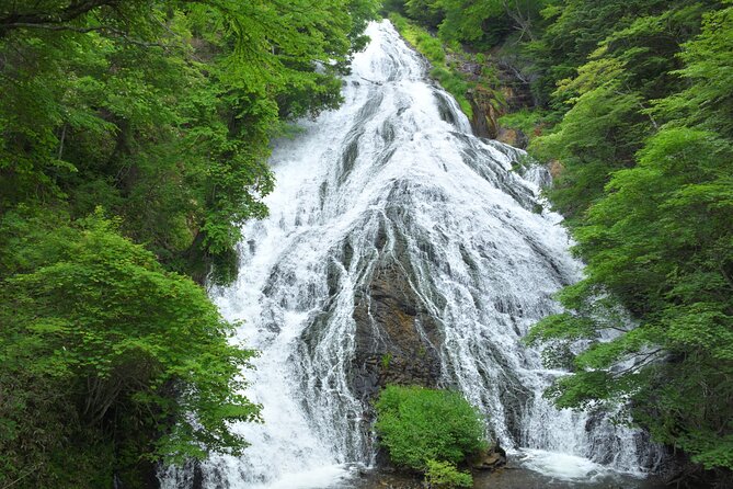 Hiking Around Yuno Lake: Revel in the Essence of Nikkos Nature and History - Participant Requirements and Medical Conditions
