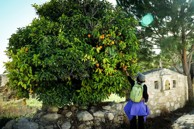 Hiking at Ancient Eleftherna Trail - Margarites, Crete - Key Points