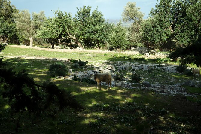 Hiking at Ancient Eleftherna Trail - Margarites, Crete - Exploring the Ancient Eleftherna Trail