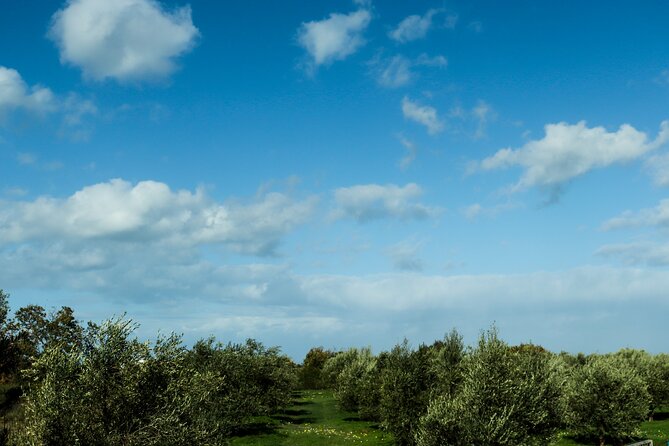 Hiking at Ancient Eleftherna Trail - Margarites, Crete - Getting to Margarites, Crete