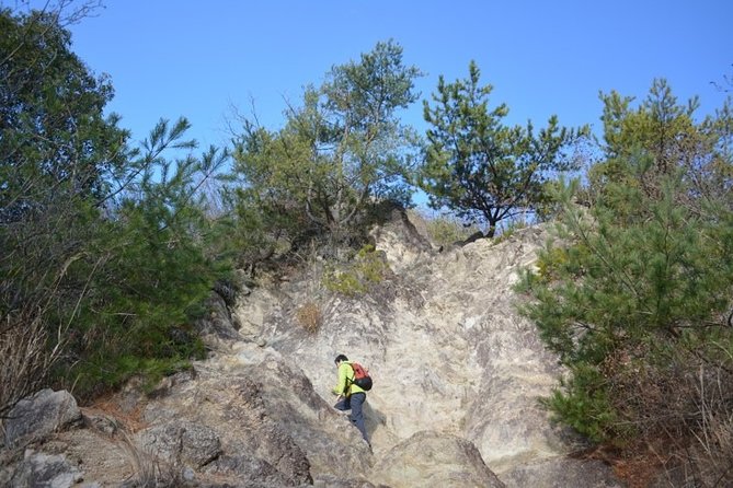 Hiking at Seto Inland Sea National Park, 1 Day Hiking on Mt. Rokko - Booking and Cancellation Policy
