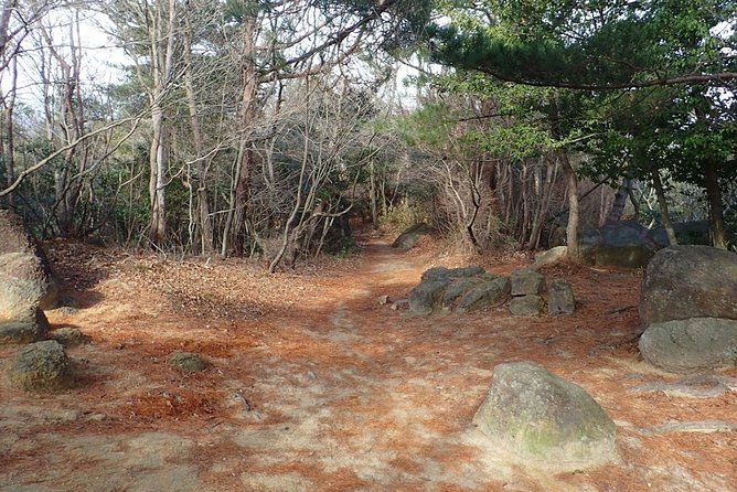 Hiking at Seto Inland Sea National Park, 1 Day Hiking on Mt. Rokko - Exploring the Seto Inland Sea National Park