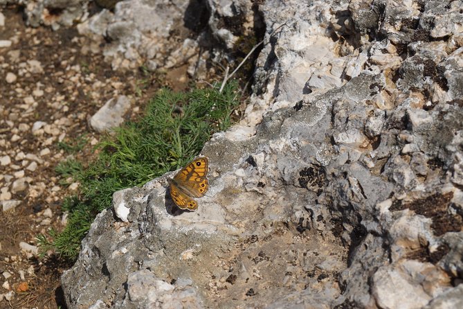 Hiking at the Best Hiking Trail: Peaks of the Balkans - Booking and Cancellation Policy