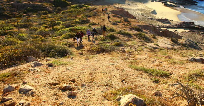 Hiking at the Hidden Arch of Los Cabos - Key Points