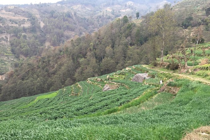 Hiking & City Tour in Kathmandu With Community Volunteering - Volunteering at Community School