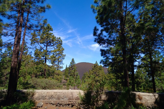 Hiking Classic Tenerife - Key Points