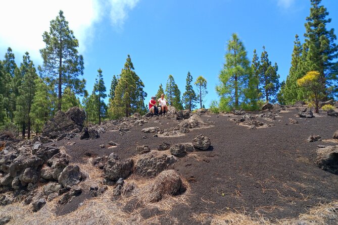 Hiking Classic Tenerife - Accessibility and Restrictions