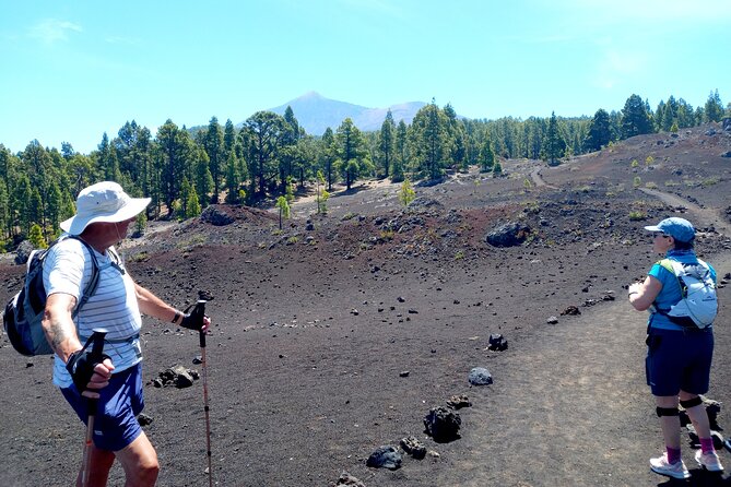 Hiking Classic Tenerife - Fitness Level and Health