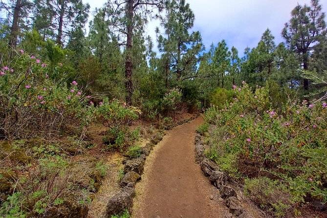 Hiking Classic Tenerife - Confirmation and Booking