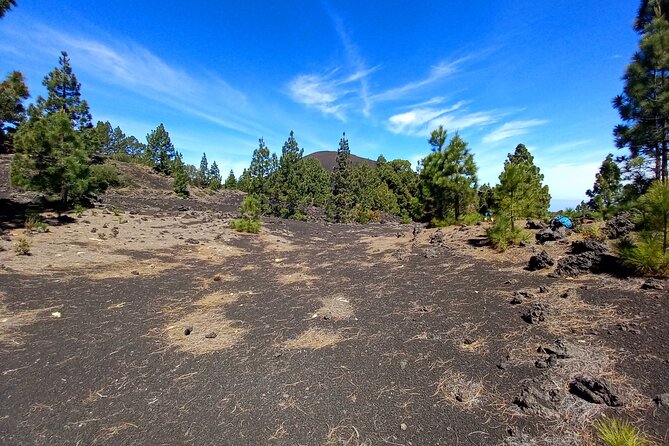 Hiking Classic Tenerife - Nearby Public Transportation