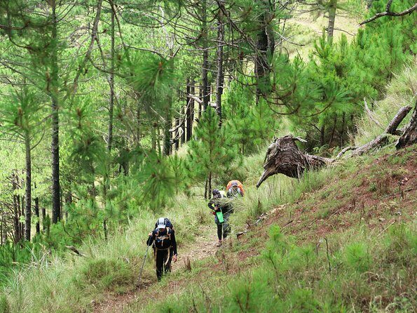 Hiking Day Tour to Triund from Dharamshala - Who Should Consider This Tour?