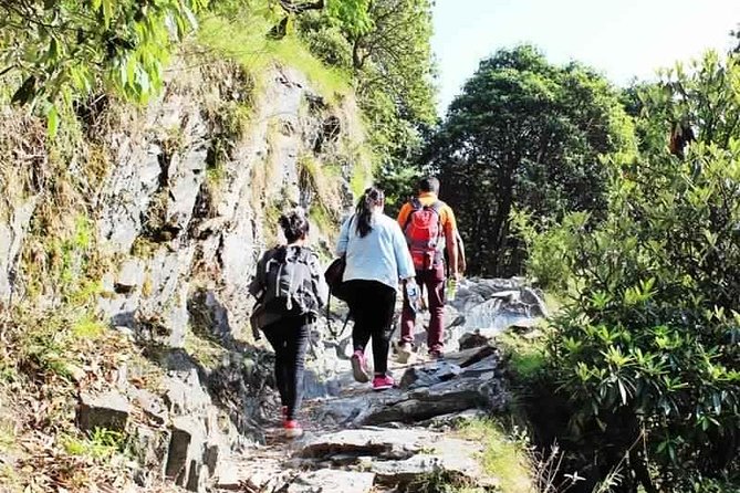 Hiking Day Tour to Triund From Dharamshala - Key Points