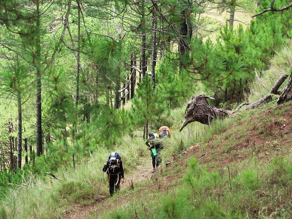 Hiking Day Tour to Triund From Dharamshala - Important Considerations