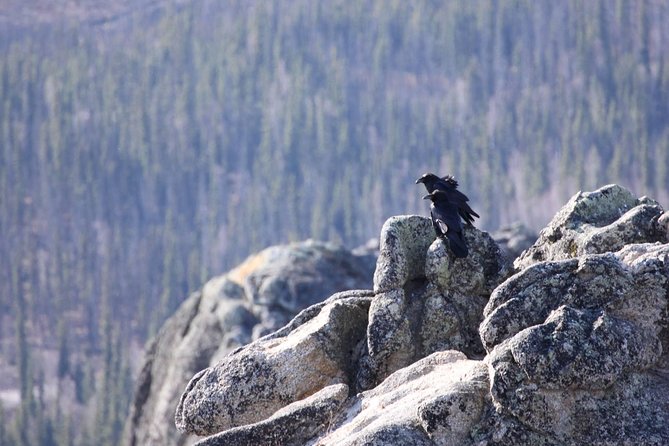 Hiking Expedition at Angel Rocks - Wildlife and Geology