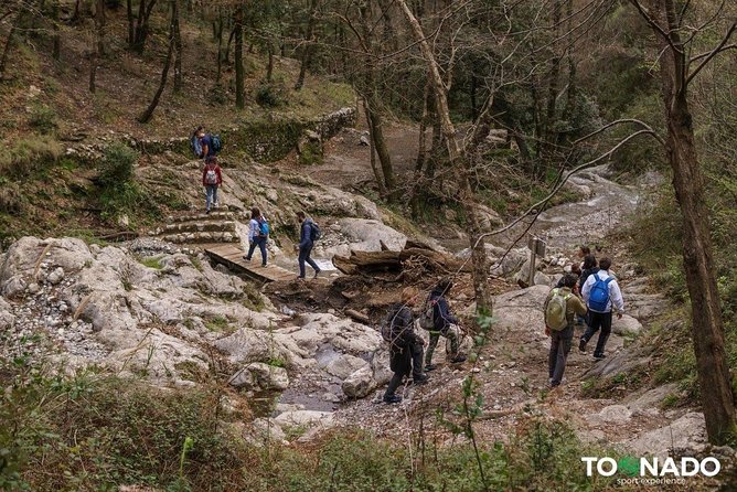 Hiking Experience - Amalfi Natural Reserve Valle Delle Ferriere - Experiencing the Amalfi Valley