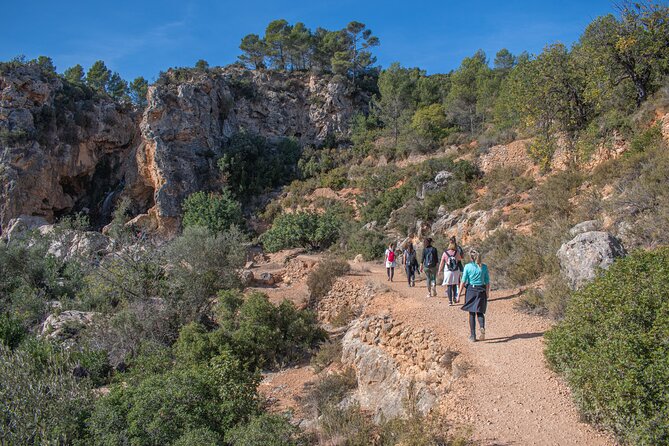 Hiking Experience Between Waterfalls in Buñol From Valencia - Scenic Viewpoints and Photo Ops